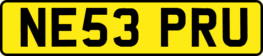 NE53PRU