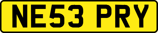 NE53PRY
