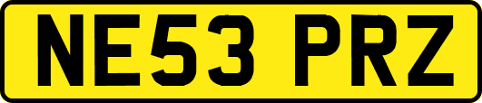 NE53PRZ