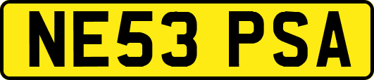NE53PSA