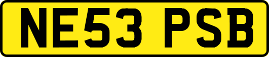 NE53PSB