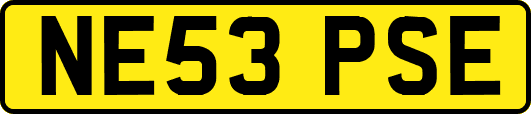 NE53PSE