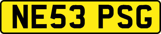 NE53PSG