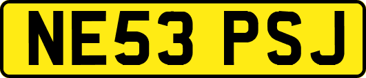 NE53PSJ