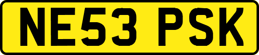 NE53PSK