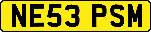 NE53PSM