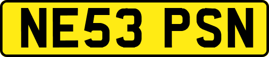 NE53PSN