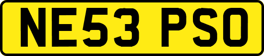 NE53PSO
