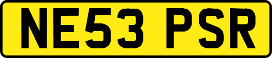 NE53PSR