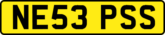 NE53PSS