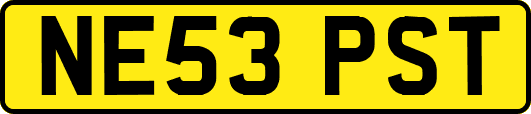 NE53PST
