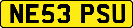 NE53PSU