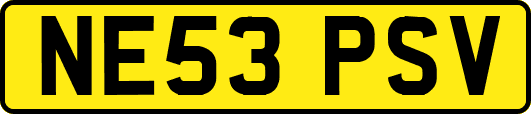 NE53PSV