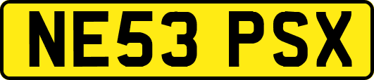 NE53PSX