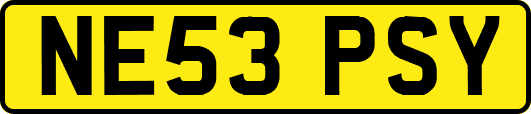 NE53PSY