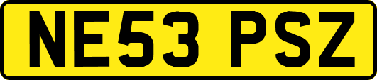 NE53PSZ