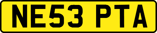 NE53PTA