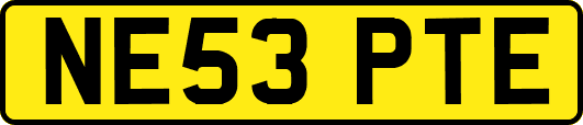 NE53PTE