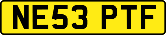 NE53PTF