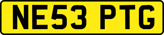 NE53PTG