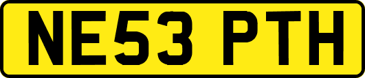 NE53PTH