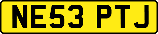 NE53PTJ