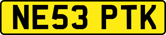 NE53PTK