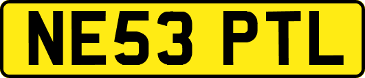 NE53PTL