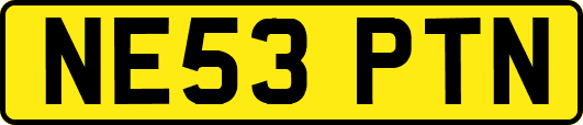 NE53PTN