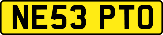 NE53PTO