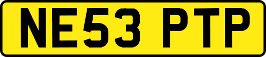 NE53PTP