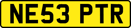 NE53PTR