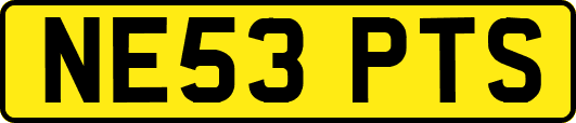 NE53PTS
