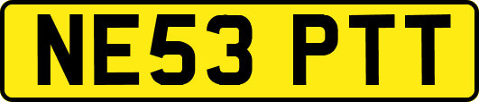 NE53PTT