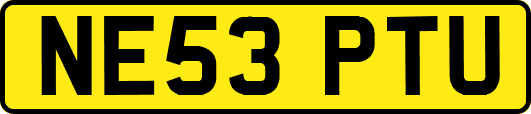 NE53PTU