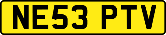 NE53PTV