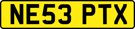 NE53PTX