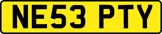 NE53PTY