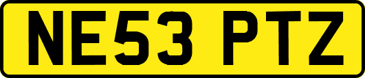 NE53PTZ