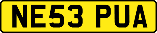 NE53PUA