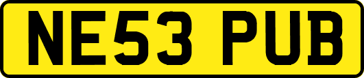 NE53PUB