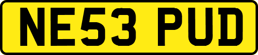 NE53PUD
