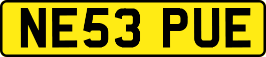 NE53PUE