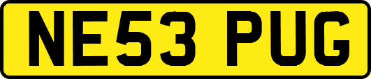 NE53PUG