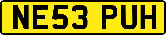 NE53PUH