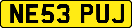 NE53PUJ