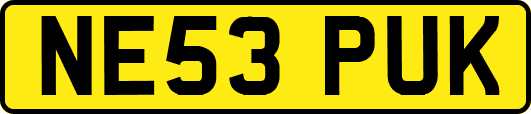 NE53PUK
