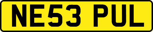 NE53PUL