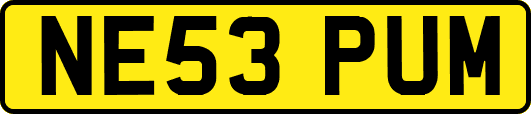 NE53PUM