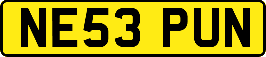 NE53PUN
